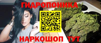 дмт Новозыбков