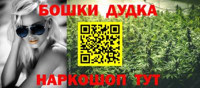 дмт Новозыбков