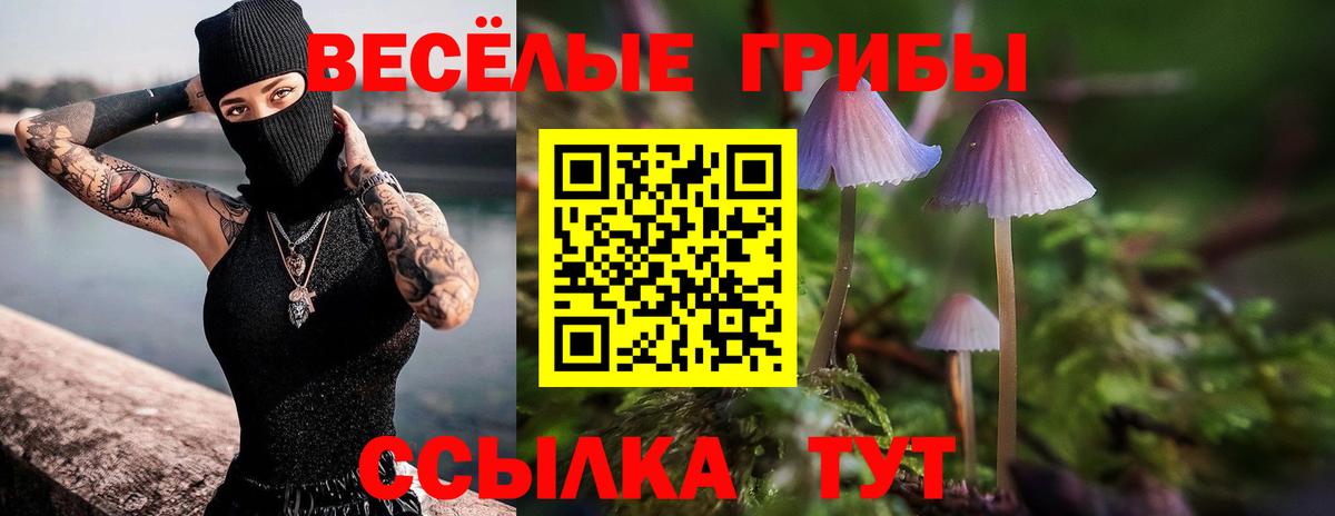 Усинск  Псилоцибиновые грибы GOLDEN TEACHER  Вход с VPN 
